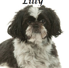 Lilly Bender 